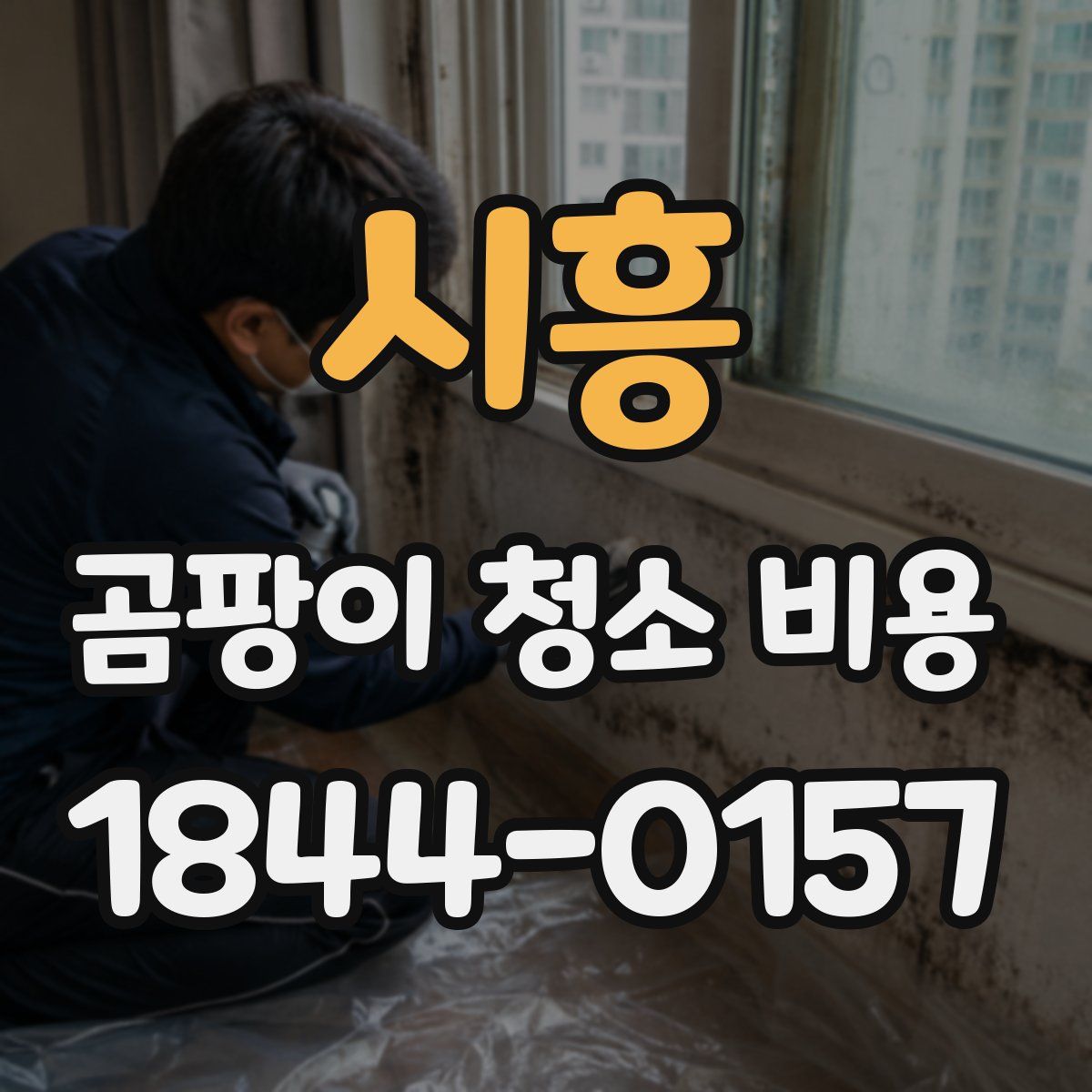 시흥 곰팡이 청소 비용