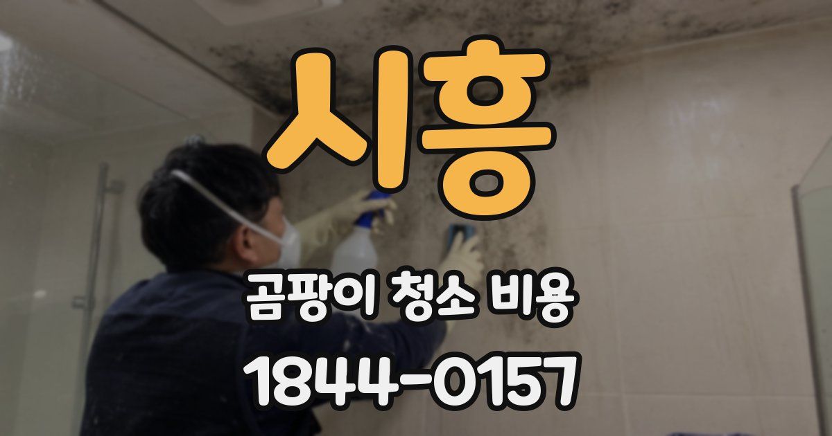 시흥 곰팡이 청소 비용