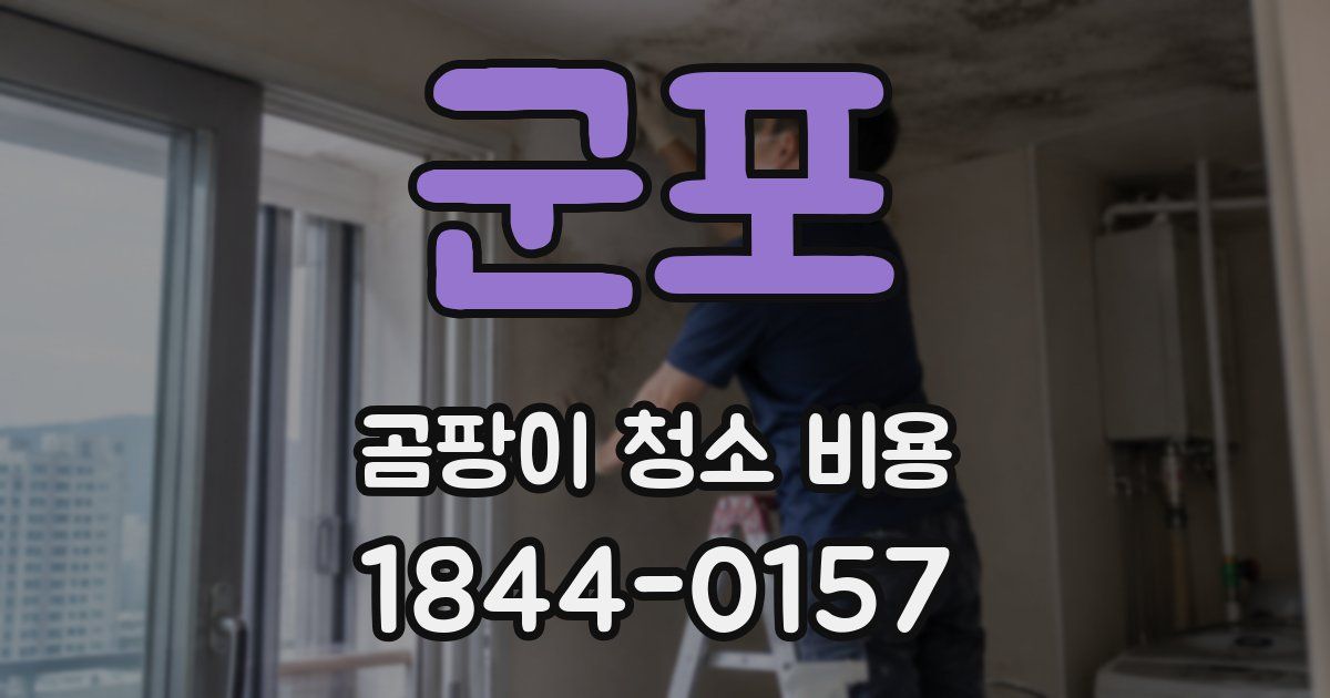 군포 곰팡이 청소 비용
