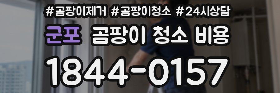 군포 곰팡이 청소 비용