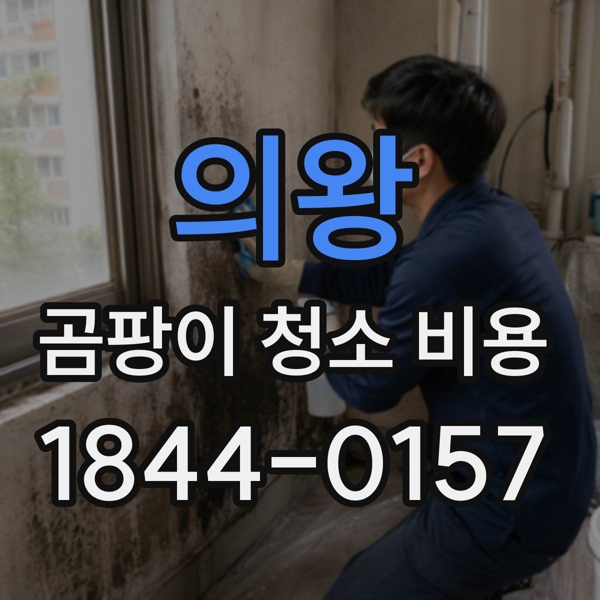 의왕 곰팡이 청소 비용 결로 개선 없이 청소만 했을 때 생기는 문제