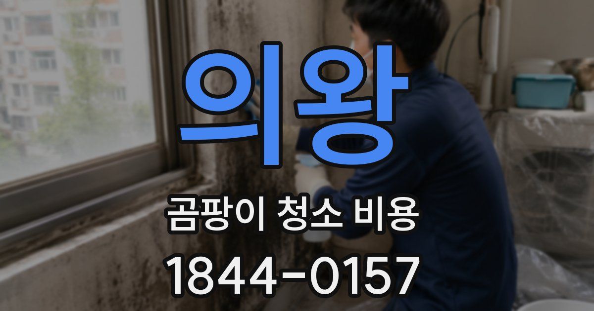의왕 곰팡이 청소 비용