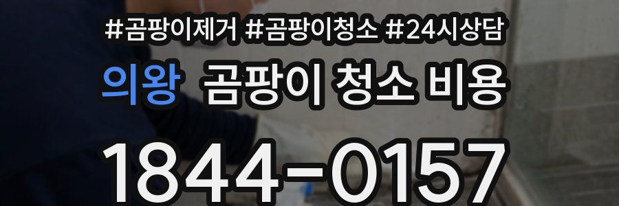 의왕 곰팡이 청소 비용