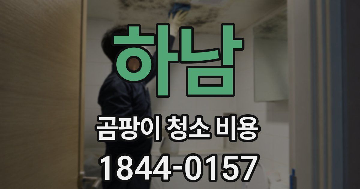 하남 곰팡이 청소 비용
