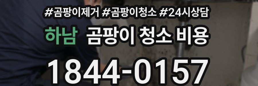 하남 곰팡이 청소 비용