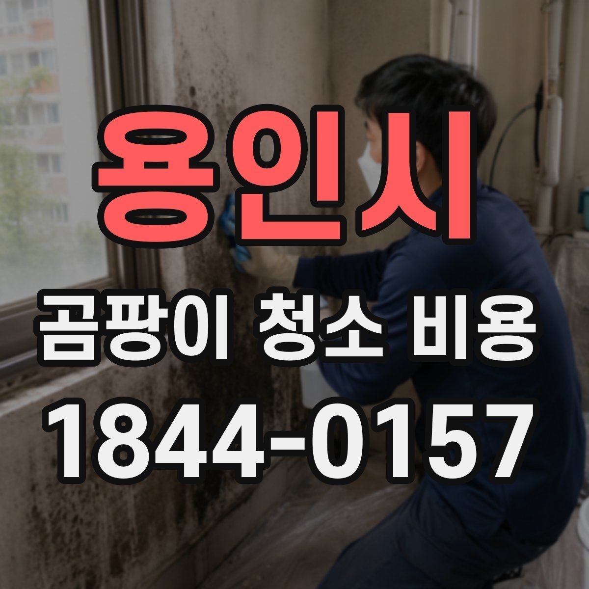 용인시 곰팡이 청소 비용 청소만으로 부족할 때 먼저 볼 점