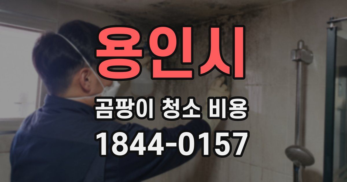 용인시 곰팡이 청소 비용
