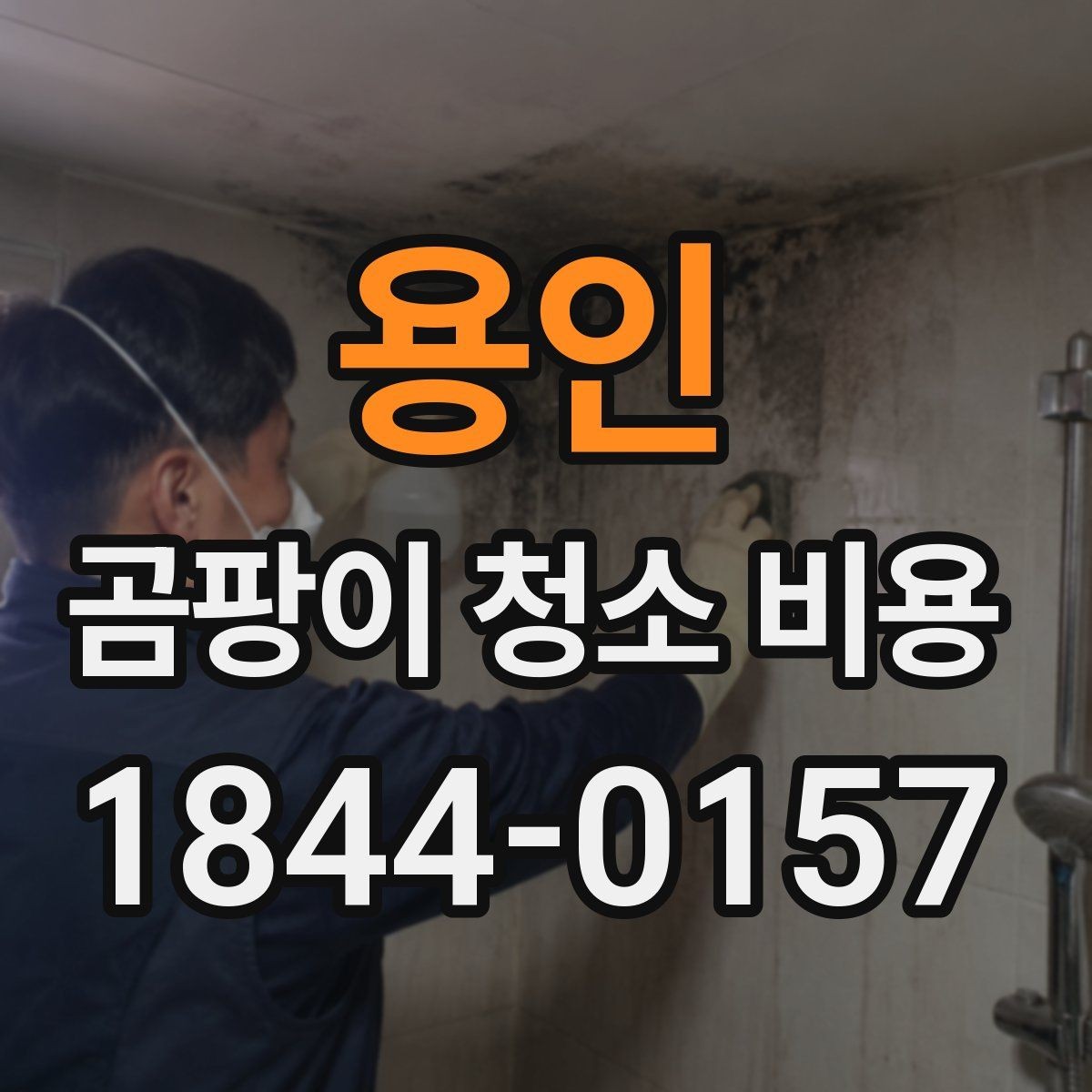용인 곰팡이 청소 비용 냄새가 오래 남는 집에서 체크할 항목