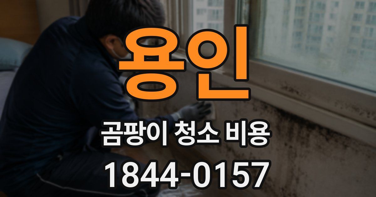 용인 곰팡이 청소 비용