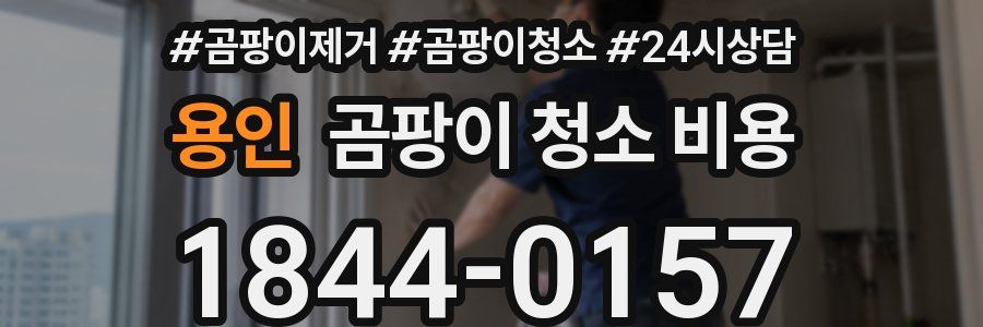 용인 곰팡이 청소 비용