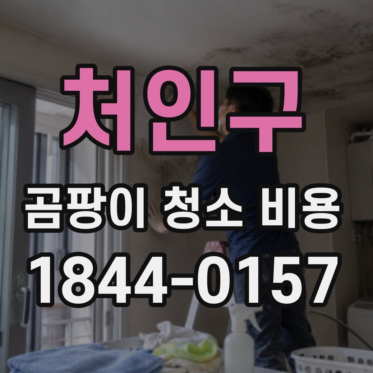 처인구 곰팡이 청소 비용 아이 있는 집에서 자주 묻는 진행 방식