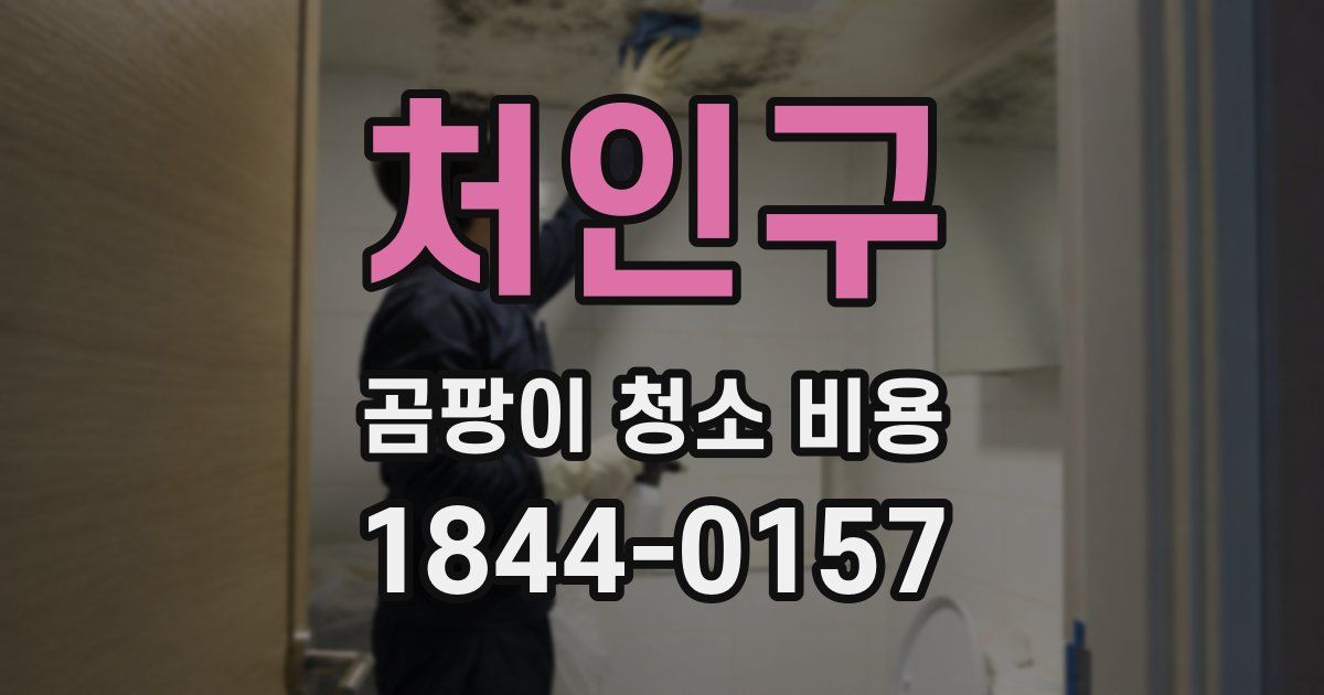 처인구 곰팡이 청소 비용
