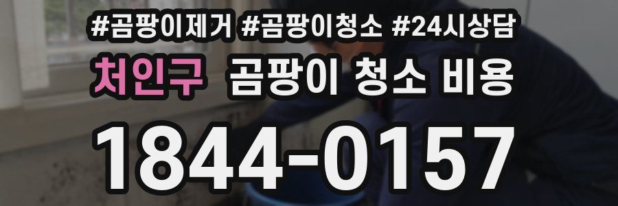 처인구 곰팡이 청소 비용