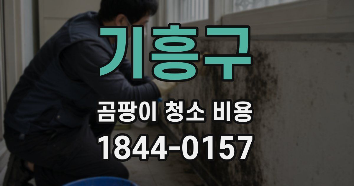 기흥구 곰팡이 청소 비용