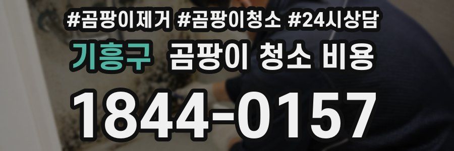 기흥구 곰팡이 청소 비용
