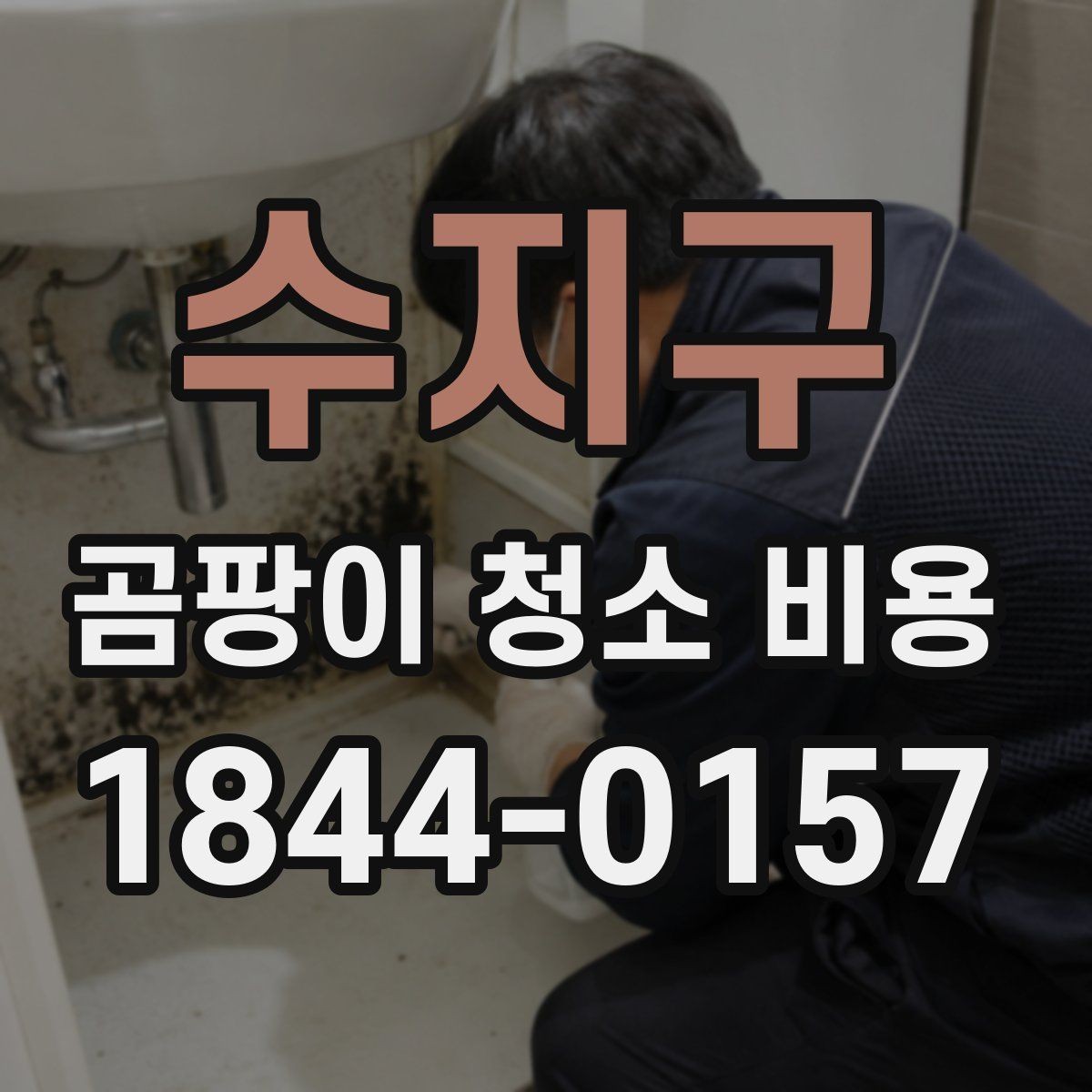 수지구 곰팡이 청소 비용 부분 청소로 충분한지 전체 청소가 필요한지