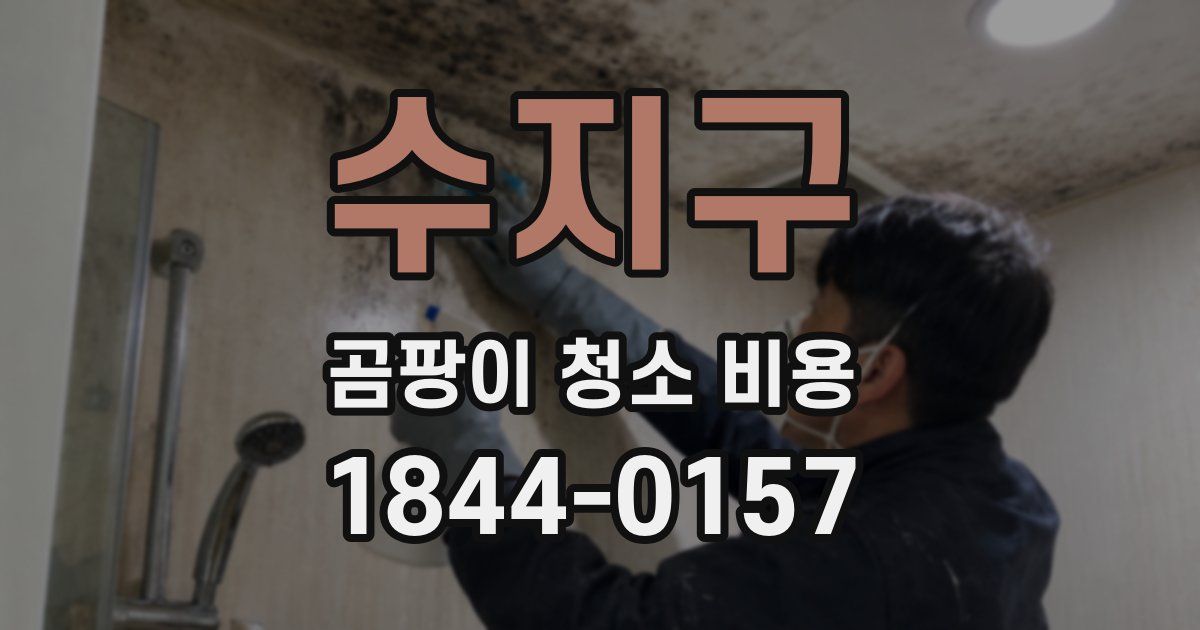 수지구 곰팡이 청소 비용