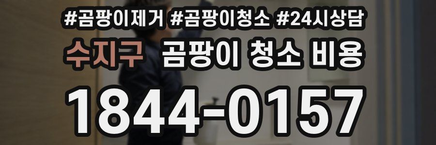 수지구 곰팡이 청소 비용