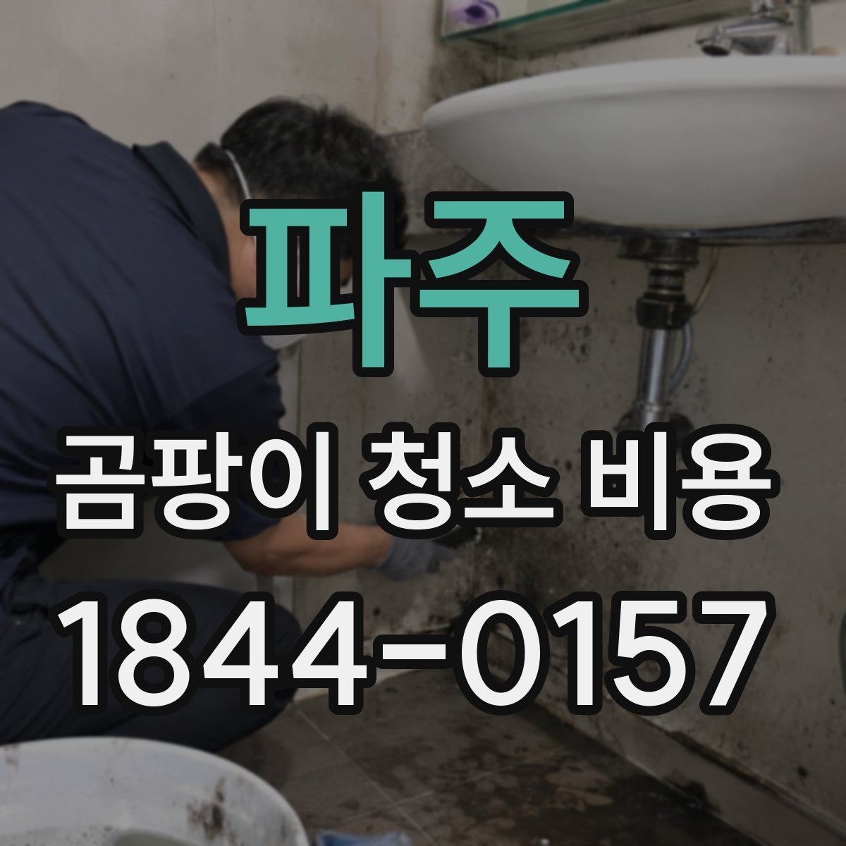 파주 곰팡이 청소 비용 장비 없이 진행할 때와의 차이