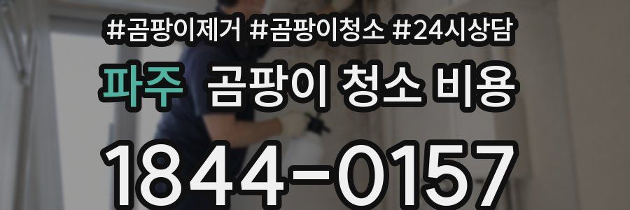 파주 곰팡이 청소 비용
