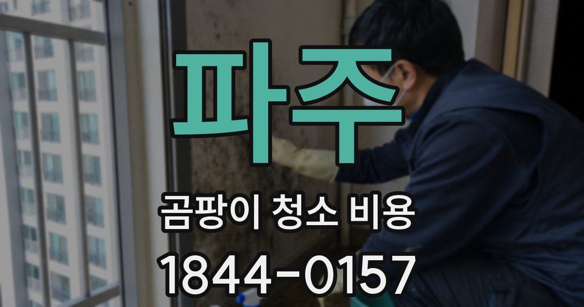 파주 곰팡이 청소 비용