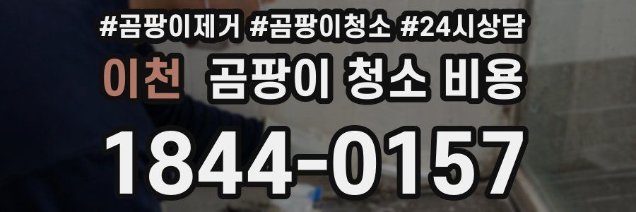 이천 곰팡이 청소 비용