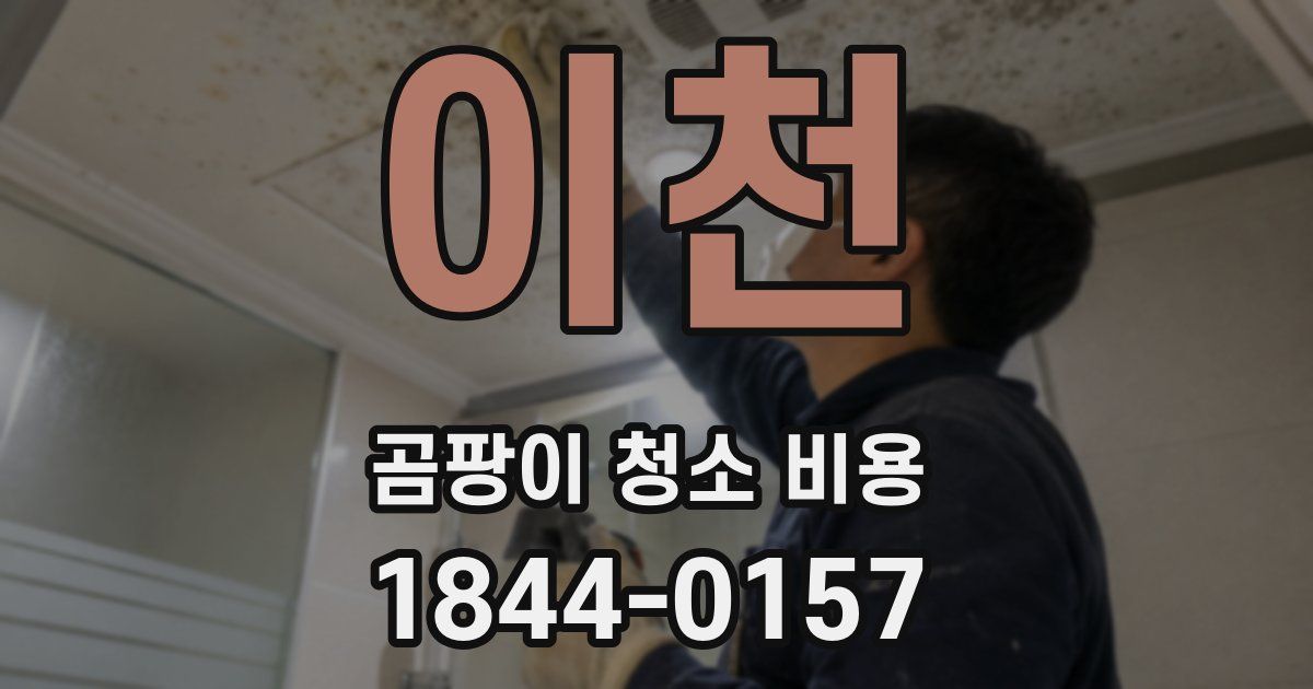 이천 곰팡이 청소 비용