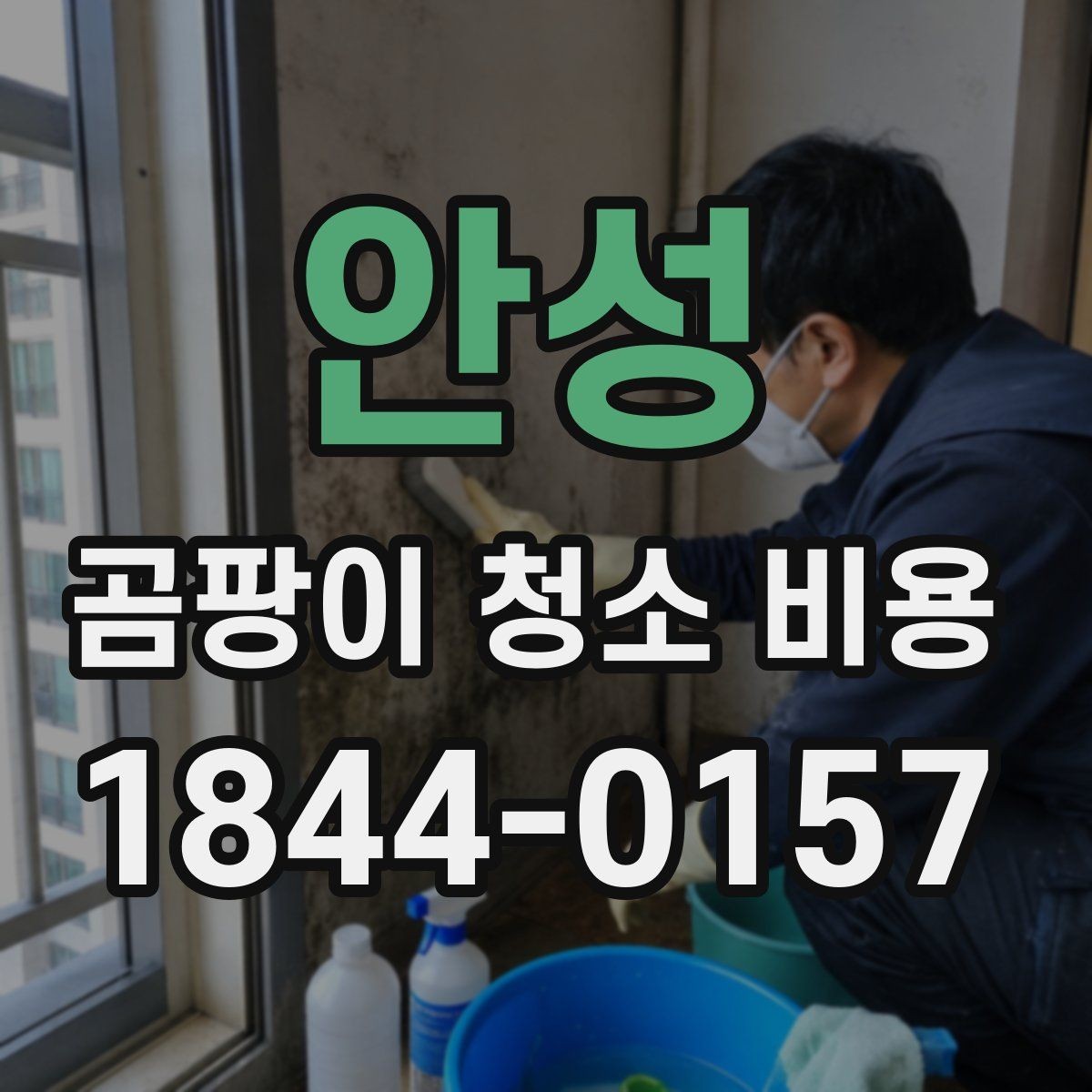 안성 곰팡이 청소 비용 냄새와 습기가 함께 날 때 점검할 부분