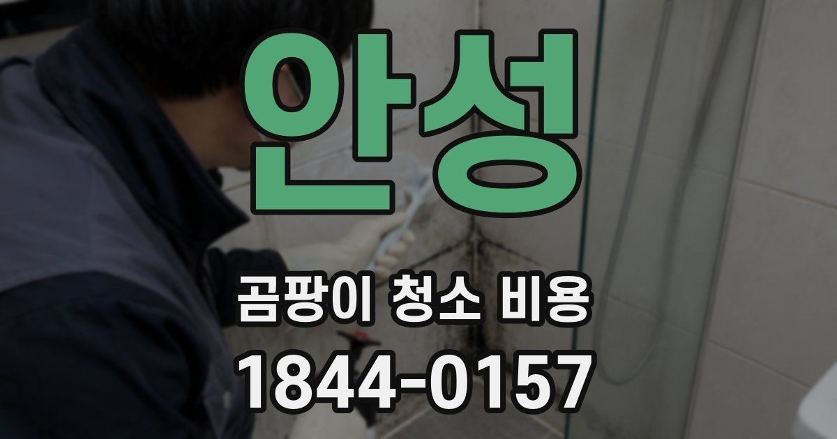 안성 곰팡이 청소 비용