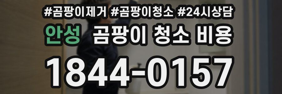 안성 곰팡이 청소 비용
