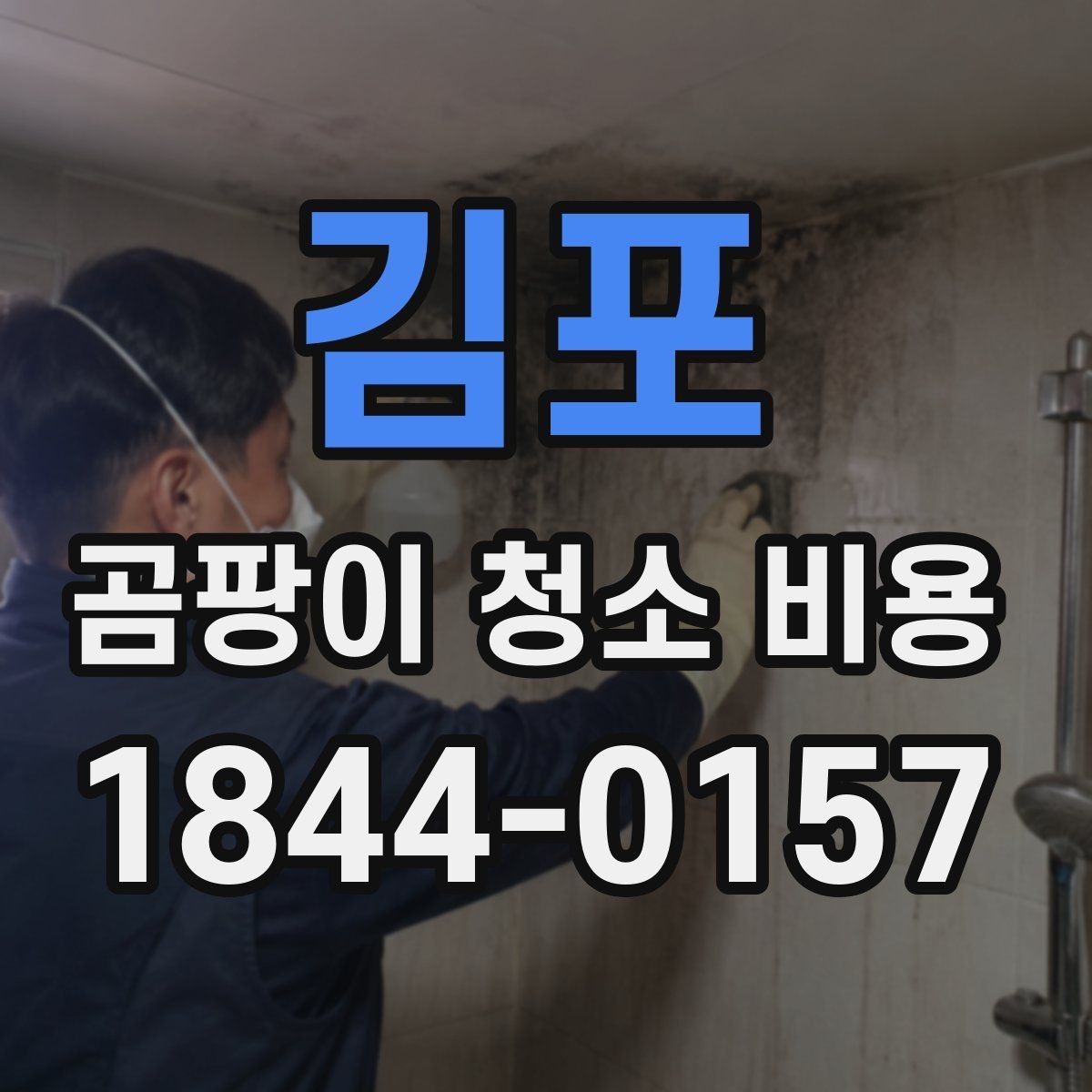 김포 곰팡이 청소 비용 벽지 손상과 오염 번짐을 함께 보는 기준