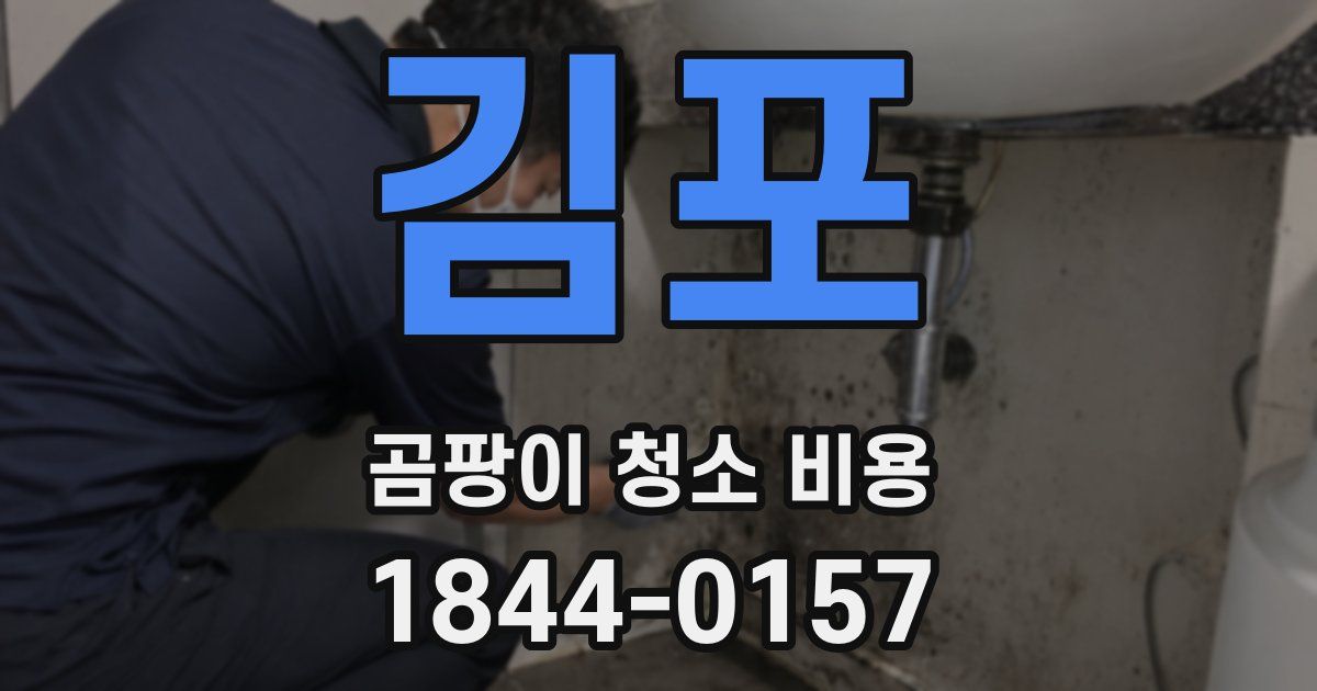 김포 곰팡이 청소 비용
