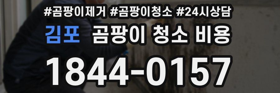 김포 곰팡이 청소 비용