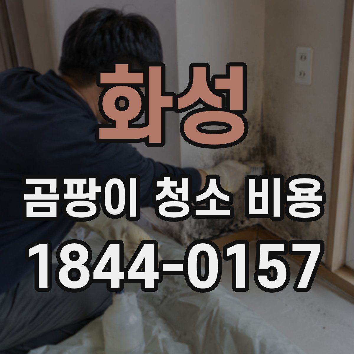 화성 곰팡이 청소 비용 습기와 냄새가 함께 날 때 확인할 점