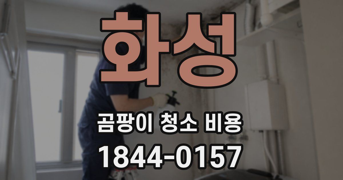화성 곰팡이 청소 비용