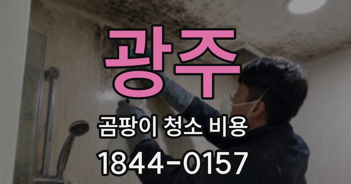 광주 곰팡이 청소 비용