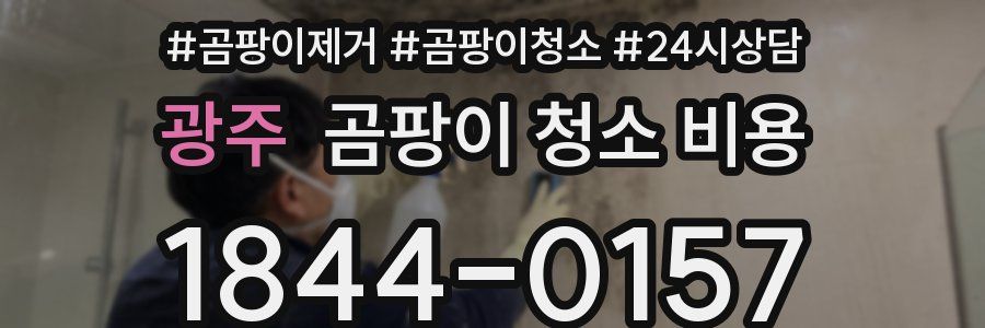 광주 곰팡이 청소 비용