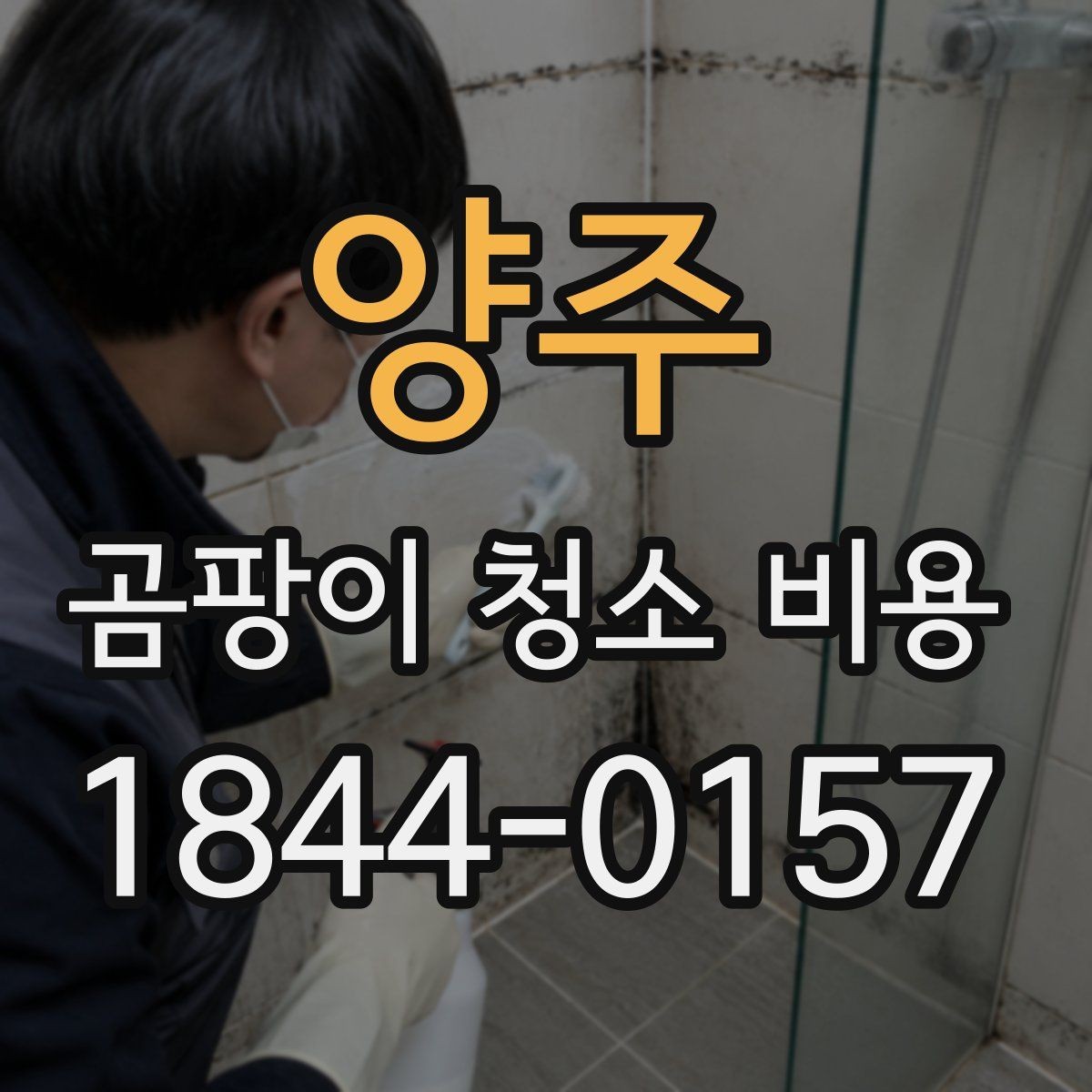 양주 곰팡이 청소 비용 곰팡이 종류와 오염 위치에 따른 차이