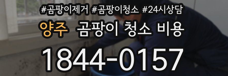 양주 곰팡이 청소 비용