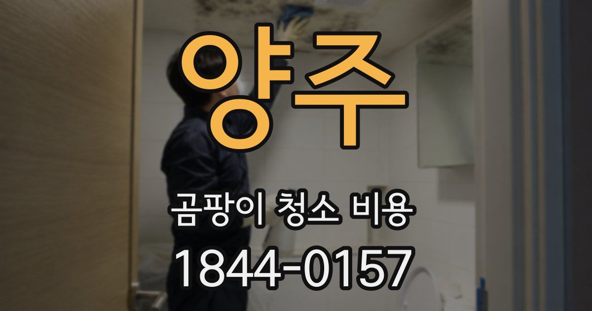 양주 곰팡이 청소 비용