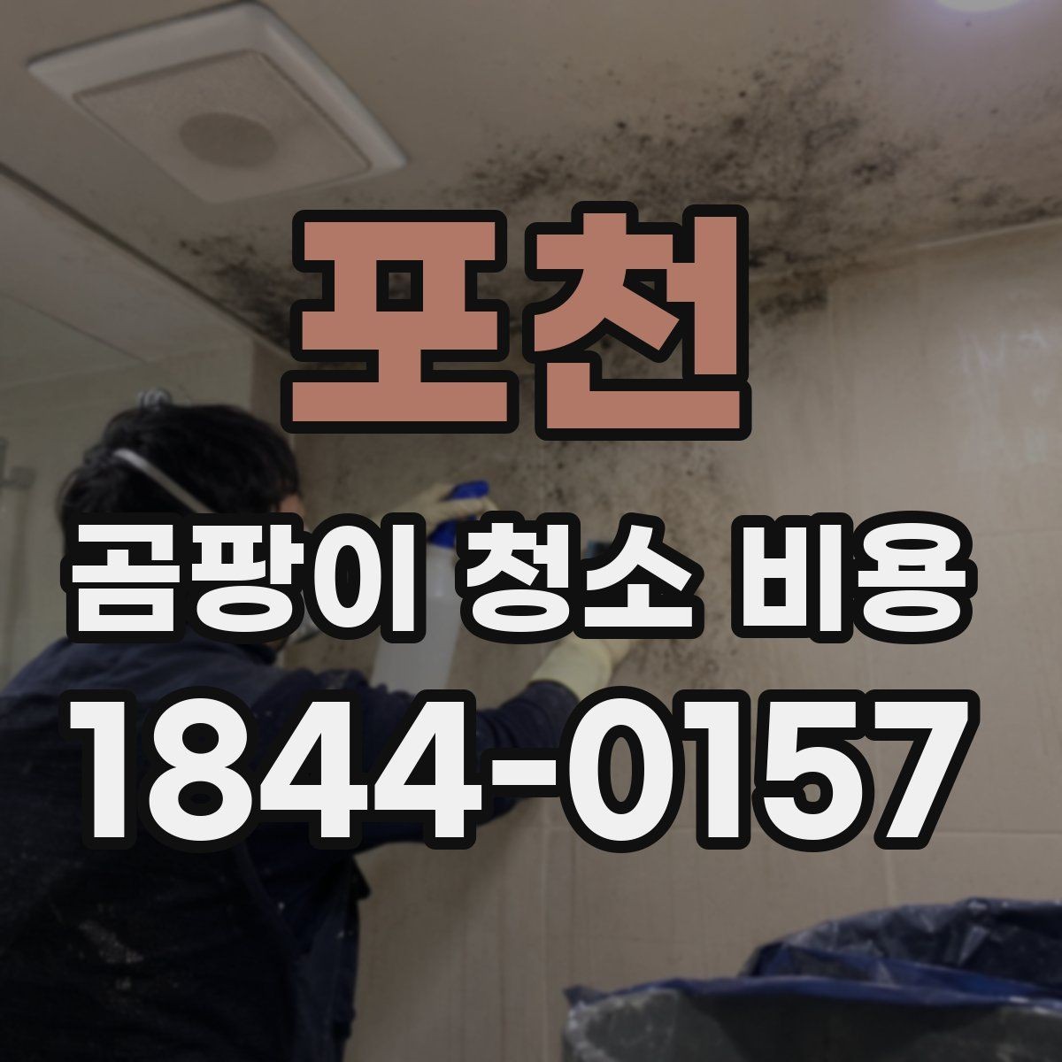 포천 곰팡이 청소 비용 부분 청소로 충분한지 판단하는 기준