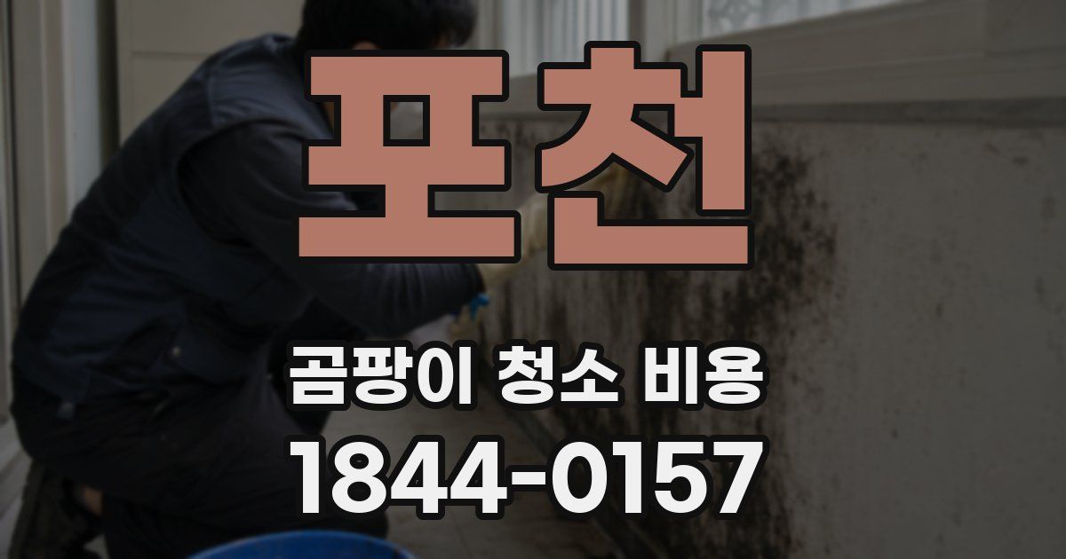 포천 곰팡이 청소 비용
