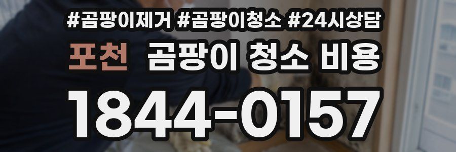 포천 곰팡이 청소 비용