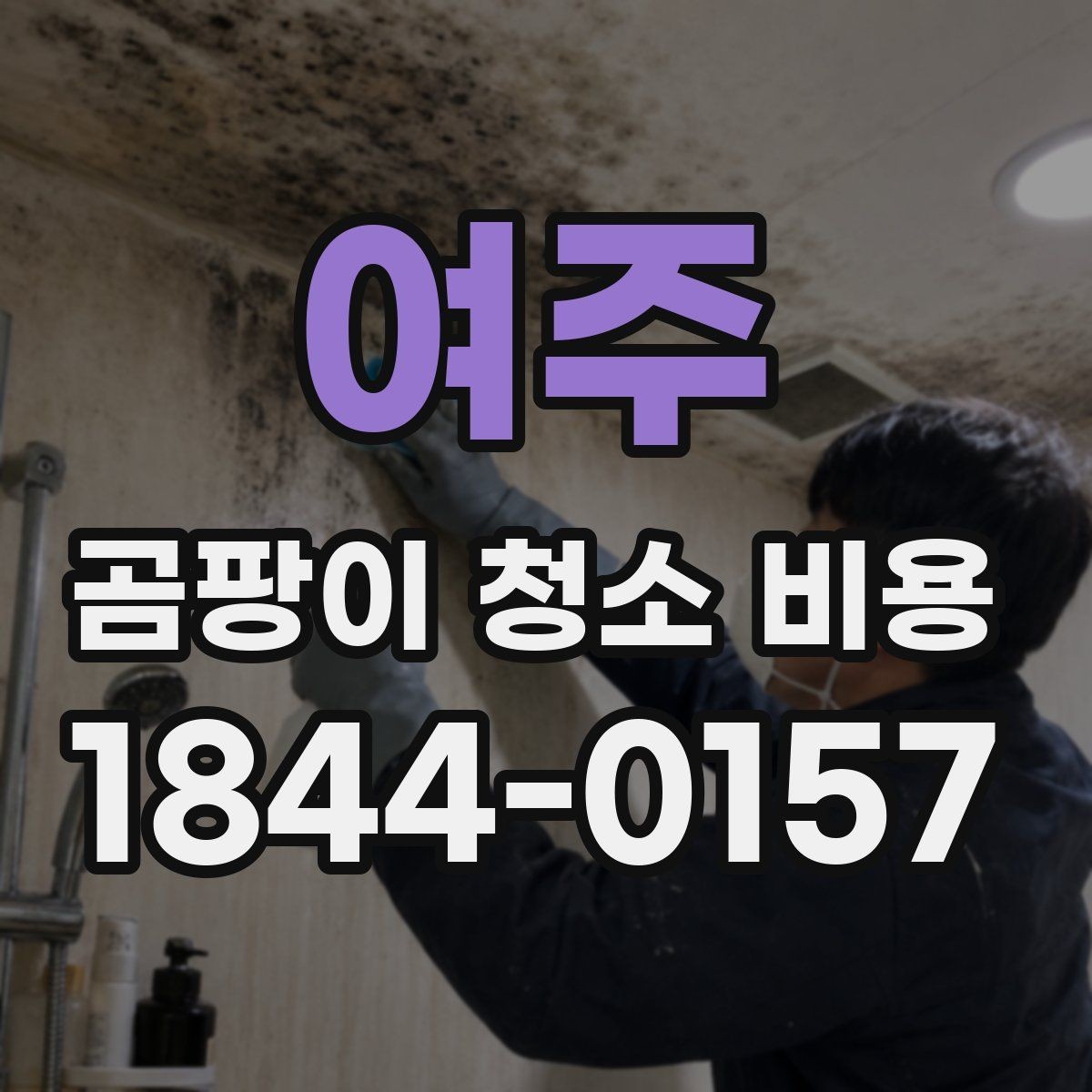 여주 곰팡이 청소 비용 포자 비산을 막는 현장 관리