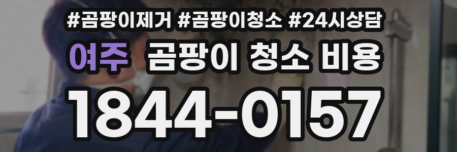 여주 곰팡이 청소 비용
