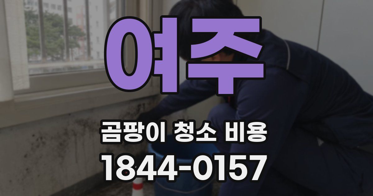 여주 곰팡이 청소 비용