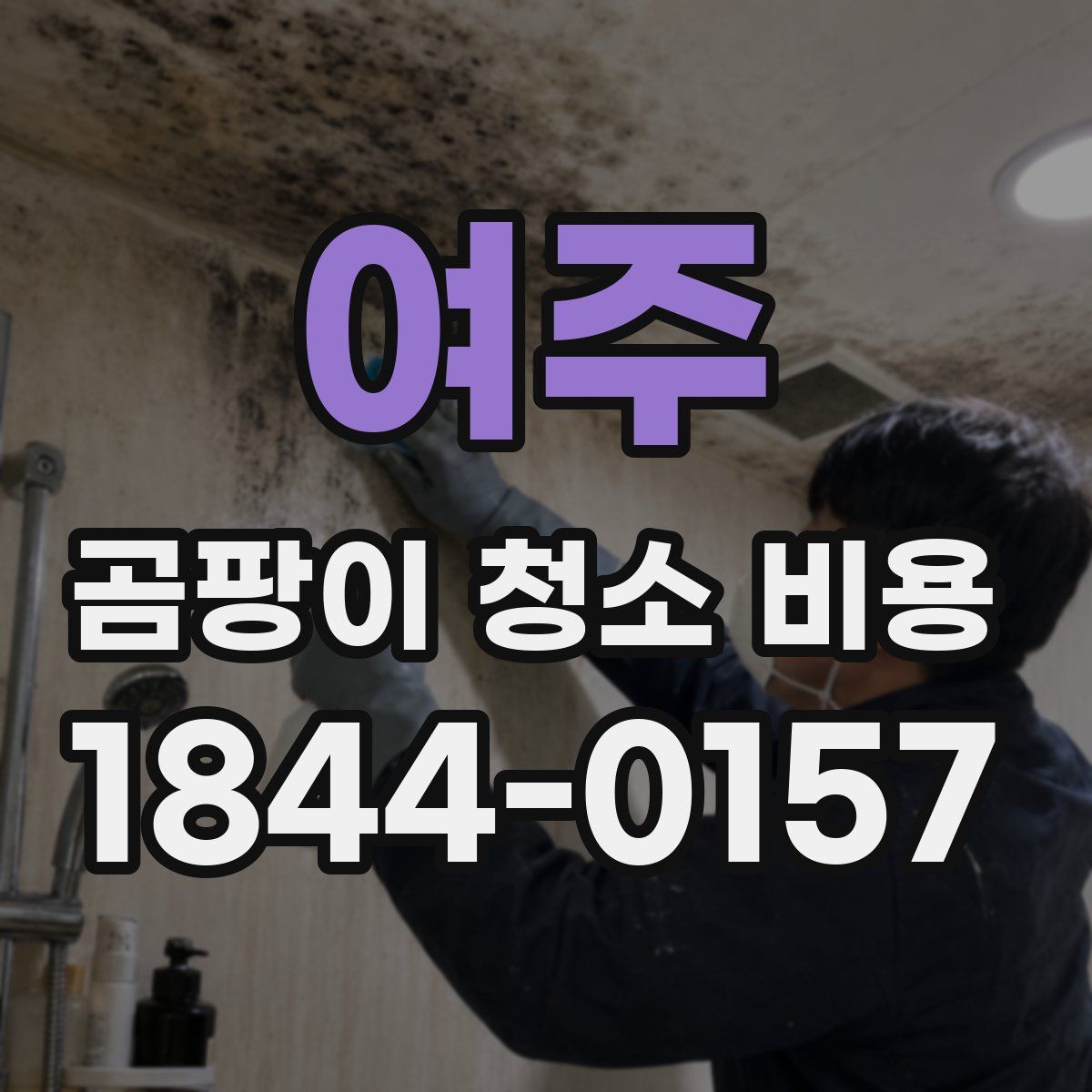 여주 곰팡이 청소 비용