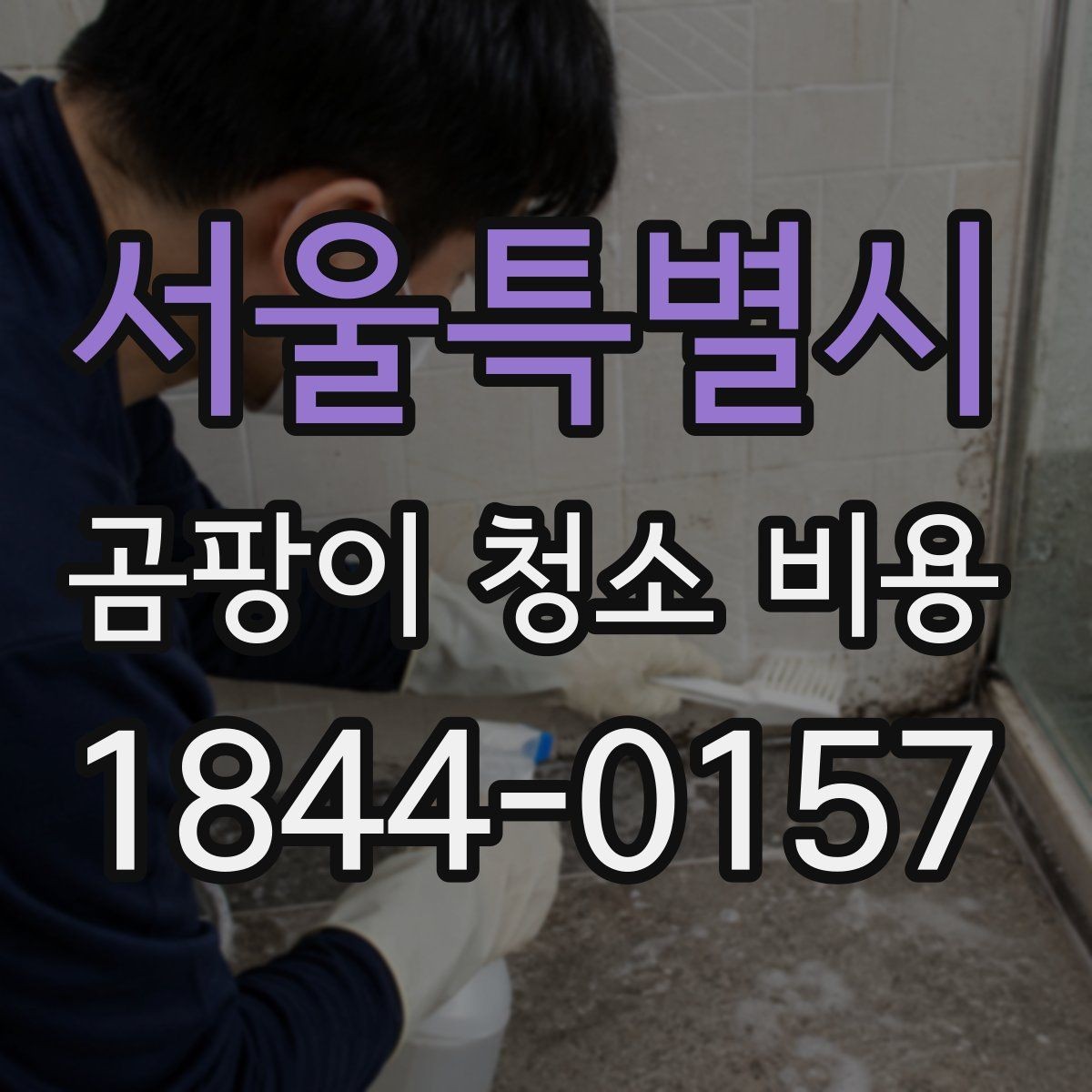 서울특별시 곰팡이 청소 비용 냄새 민감한 가족이 있는 집의 진행 방식