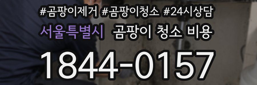 서울특별시 곰팡이 청소 비용