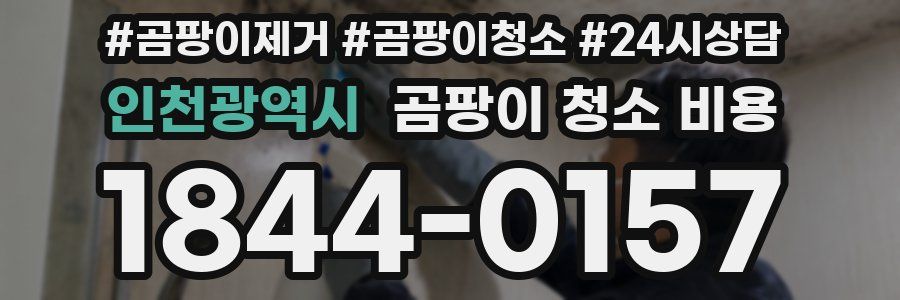 인천광역시 곰팡이 청소 비용